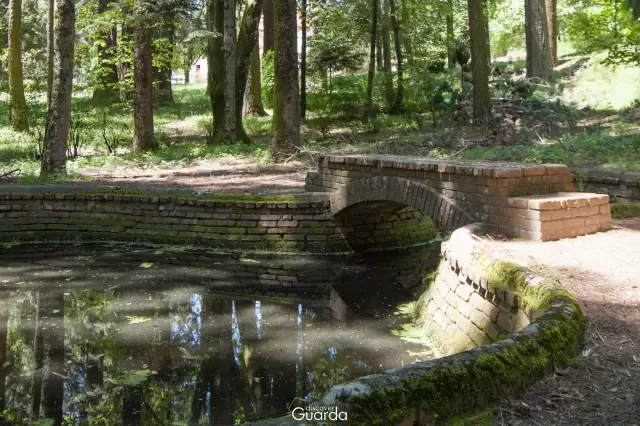 Parque da Saúde - Lago (foto de 2020)
