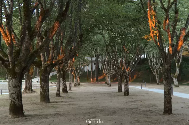 Parque Municipal (foto de 2018)