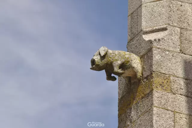 Sé Catedral - Pormenor de Gárgula (foto de 2012)
