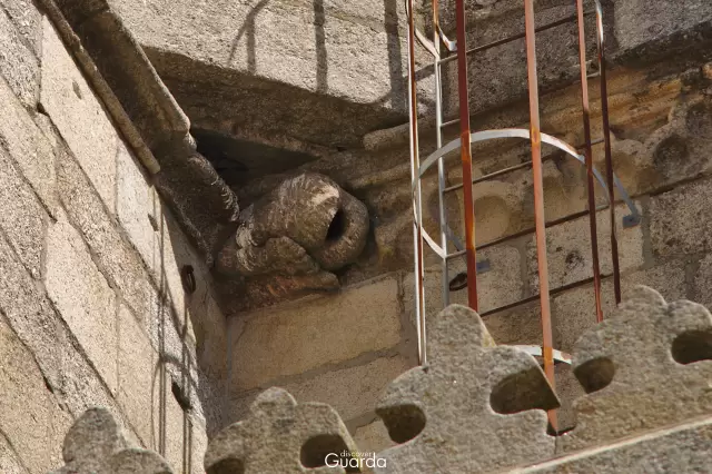 Sé Catedral -  Pormenor do Rabo ao Léu virado para Espanha (foto de 2014)