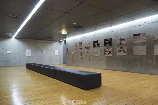 Teatro Municipal da Guarda - Interior (foto de 2021)