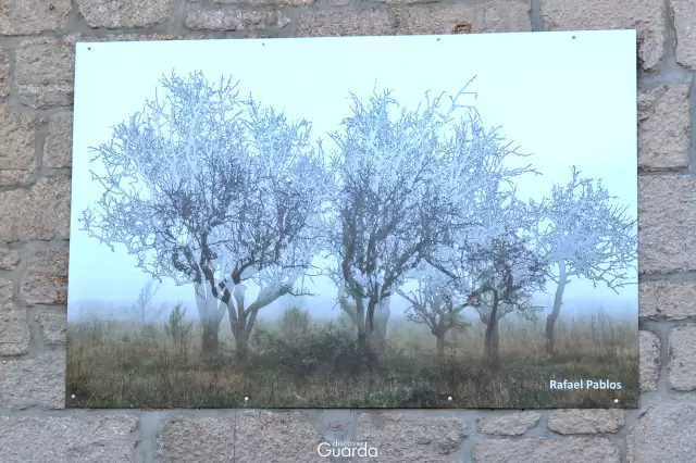 Via Pictorica - Obra de Rafael Pablos (foto de 2021)