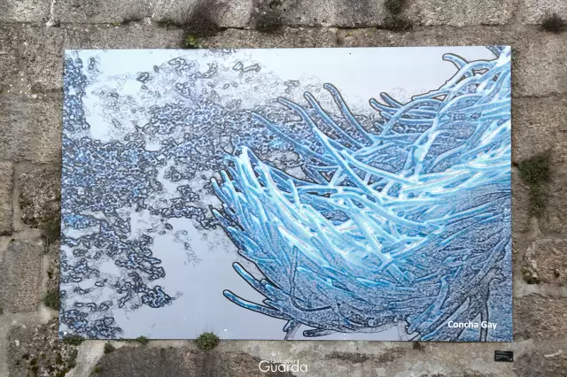 Via Pictorica - Obra de Concha Gay (Valladolid, Espanha) - (foto de 2021)